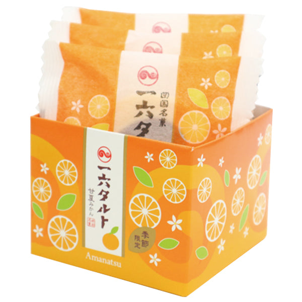 ひと切れ一六タルト「甘夏みかん」3個入