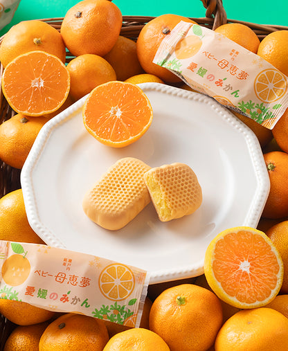 ベビー母恵夢 愛媛のみかん 6個入