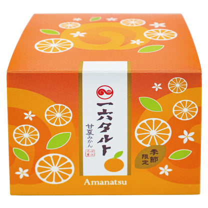 ひと切れ一六タルト「甘夏みかん」3個入